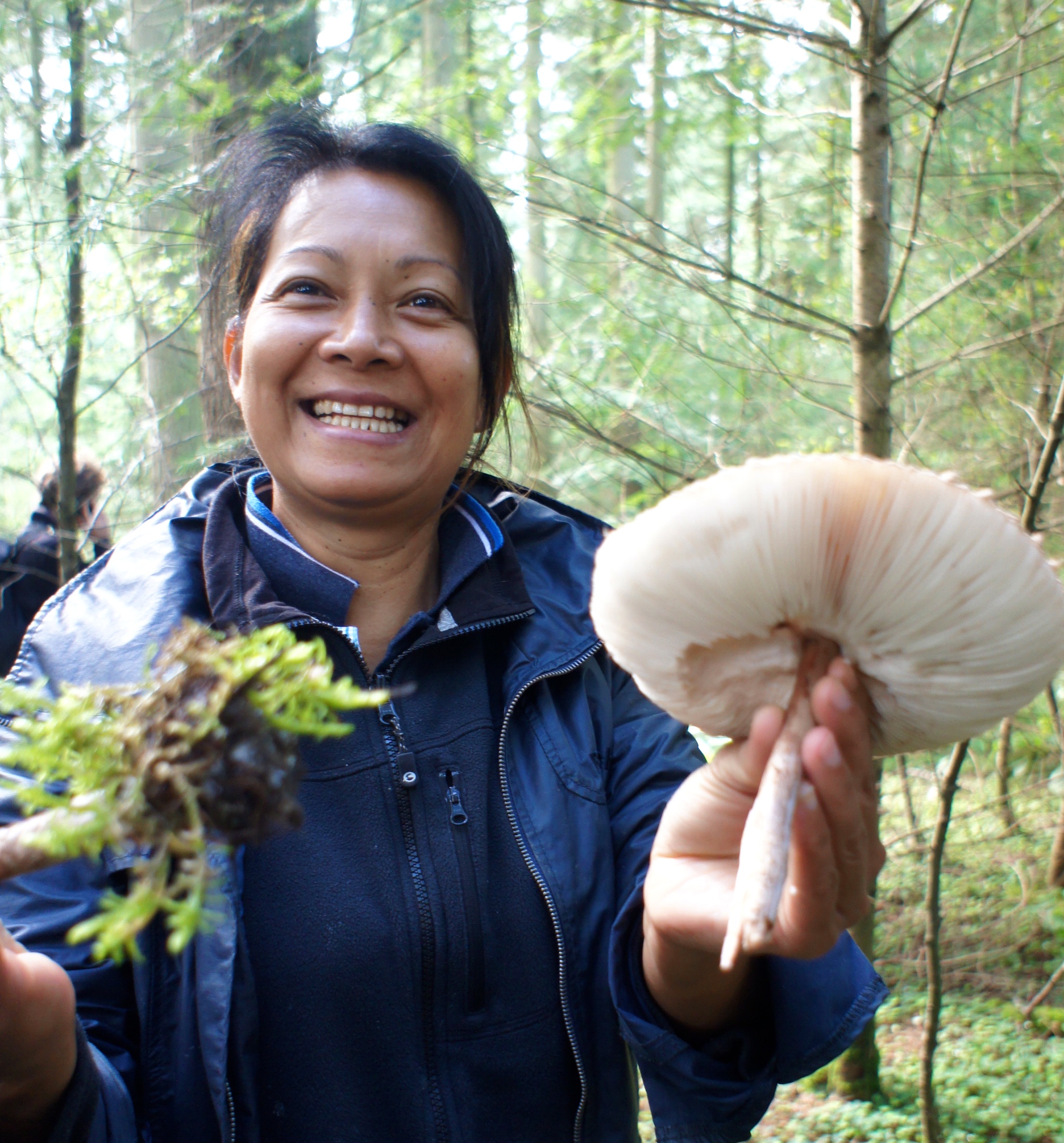 Go Wild for UK Foraging eXperiences