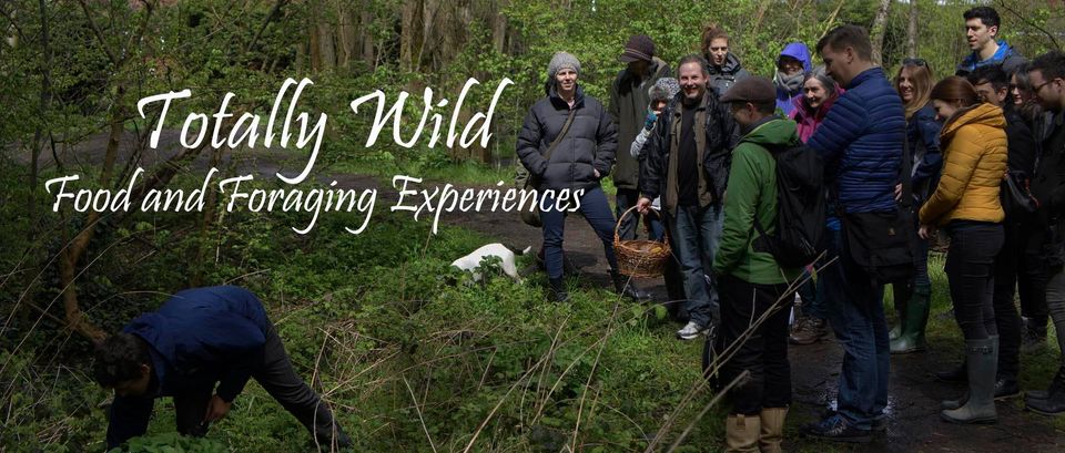 Totally Wild UK Group Foraging GourmetXperience