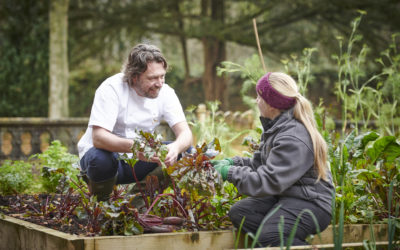 Flavours Of Yorkshire. Chef Shaun Rankin Interview, Grantley Hall