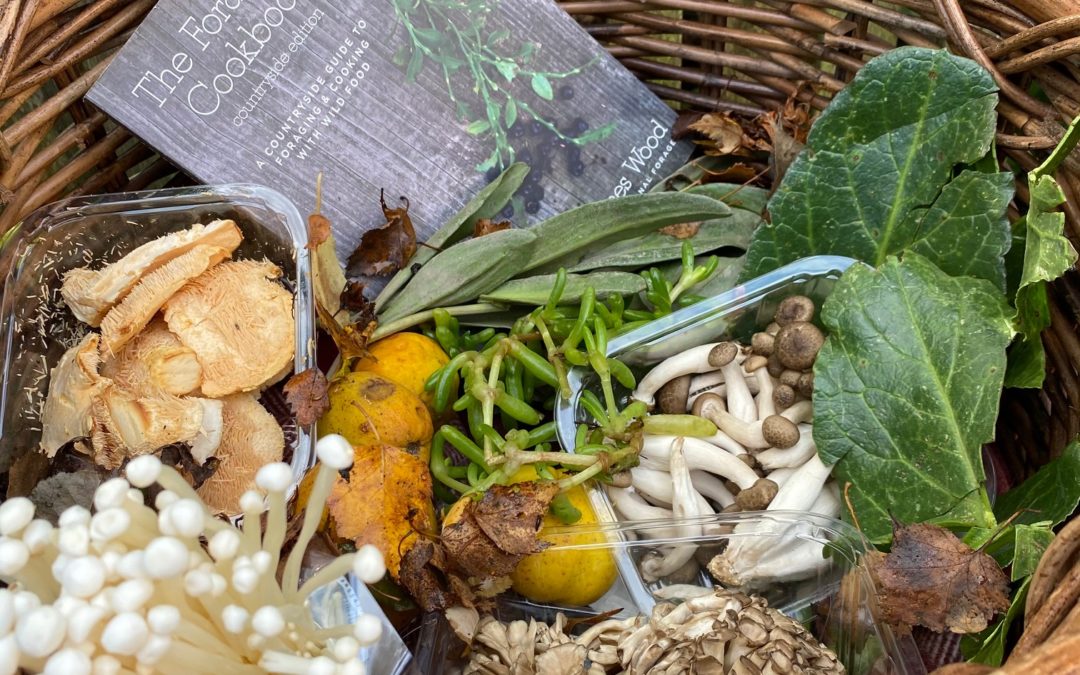 The Rewards of Nature’s Harvest – Foraging in the British Countryside