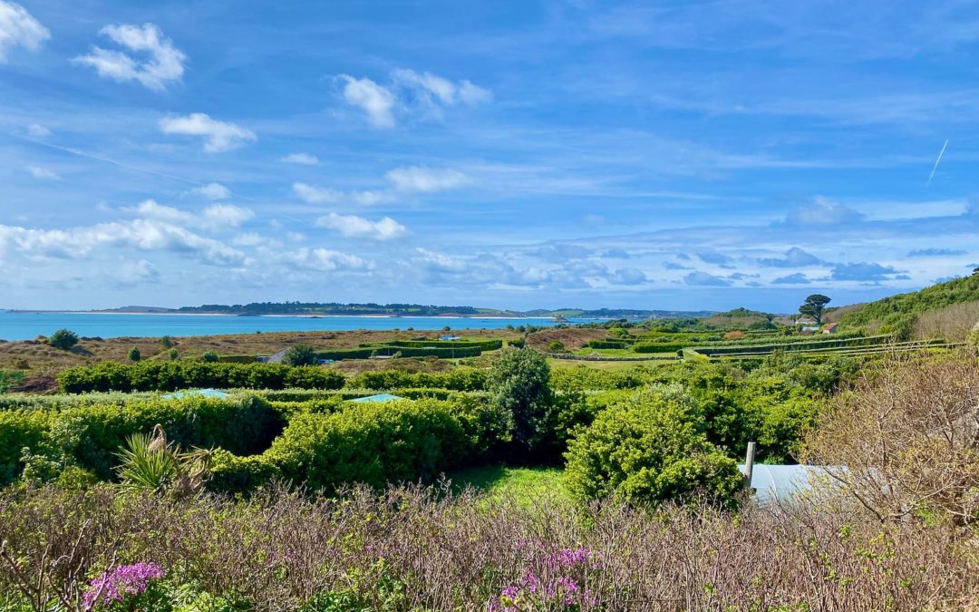 Scilly Organics: where land, weather and honesty shape the plate